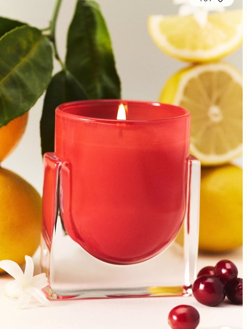 Anthropologie Glass Candle Fruity Berry Citron & Blossom with Box